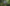 Video alt text